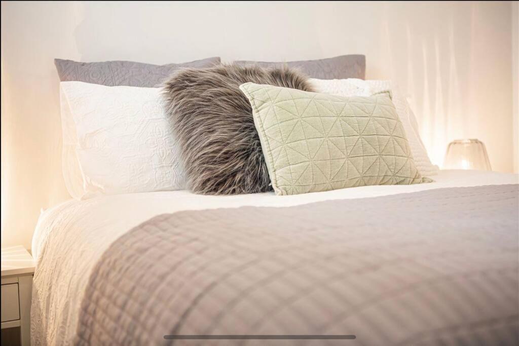 City Centre Apartment Close To Hagley Park كريستتشيرش المظهر الخارجي الصورة
