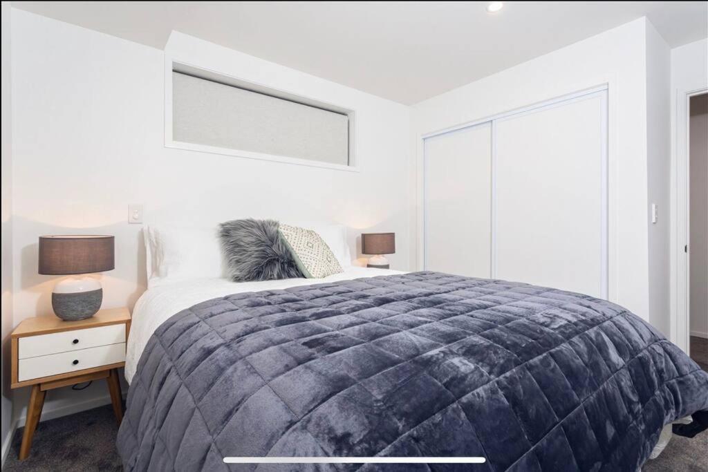 City Centre Apartment Close To Hagley Park كريستتشيرش المظهر الخارجي الصورة